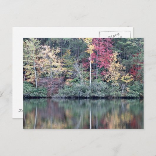 Herfst in Oneida, TN Briefkaart (Voorkant / Achterkant)