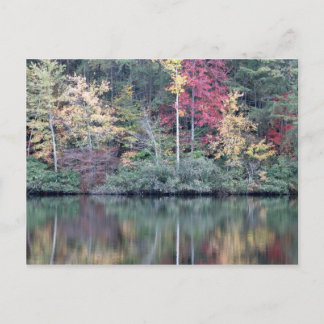 Herfst in Oneida, TN Briefkaart