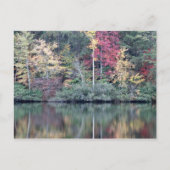 Herfst in Oneida, TN Briefkaart (Voorkant)