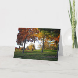 Herfst in Reno Nevada Notecard Kaart