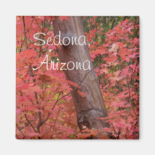 Herfst in roze in Sedona, Arizona Magneet