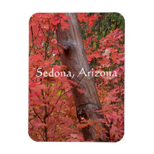 Herfst in roze, in Sedona, Arizona Magneet