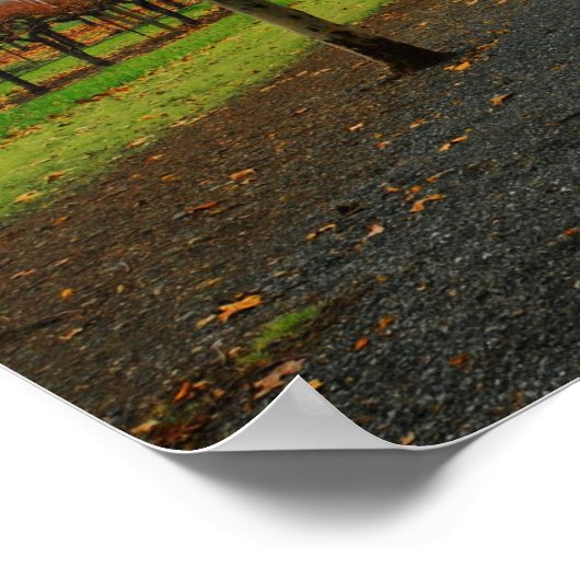 Herfst in Saint Helena Poster (Hoek)