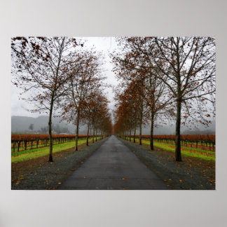 Herfst in Saint Helena Poster