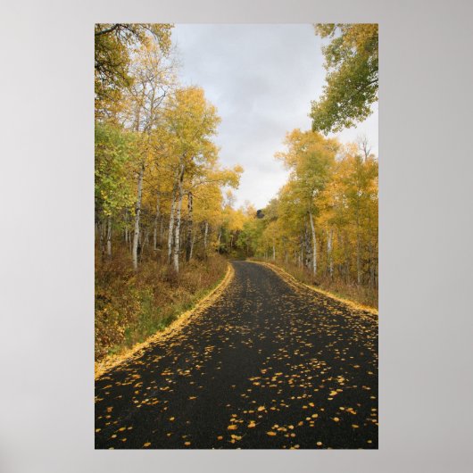 Herfst in Sundance Resort, Utah Poster (Voorkant)