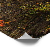Herfst in Treman State Park Poster (Hoek)