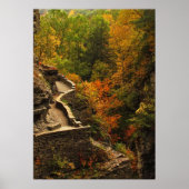 Herfst in Treman State Park Poster (Voorkant)