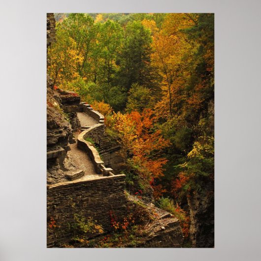 Herfst in Treman State Park Poster (Voorkant)
