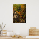 Herfst in Treman State Park Poster (Keuken)