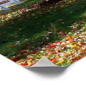 Herfst in Virginia Herfst gebladerte bladeren foto Poster (Hoek)