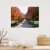 Herfst in Virginia Herfst gebladerte bladeren foto Poster (Keuken)