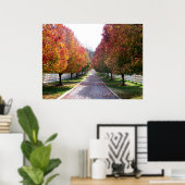 Herfst in Virginia Herfst gebladerte bladeren foto Poster (Thuiskantoor)