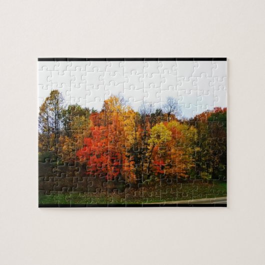 Herfst in West Bend, Wisconsin Legpuzzel (Horizontaal)
