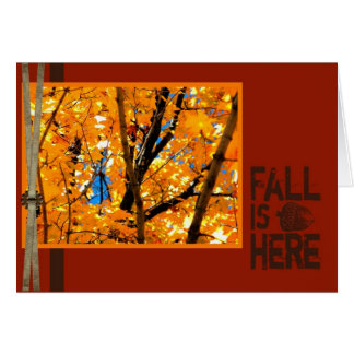 Herfst is hier