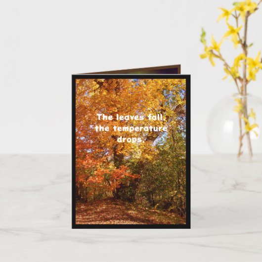 Herfst is hier, en soep ook kaart (Gele Bloem)