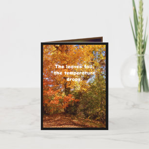 Herfst is hier, en soep ook kaart