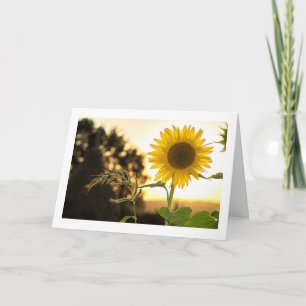 HERFST IS HIER EN THANKSGIVING IS IN DE BUURT KAART