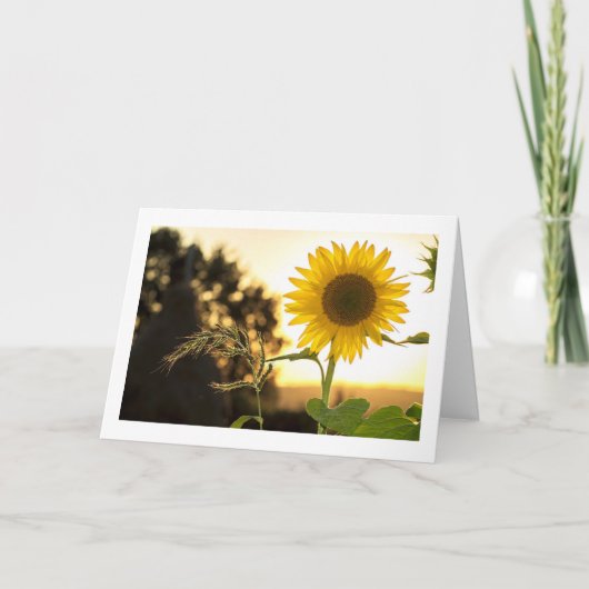 HERFST IS HIER EN THANKSGIVING IS IN DE BUURT KAART (Voorkant)