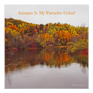 "HERFST IS MIJN FAVORIETE KLEUR!/ MICHIGAN PERFECT POSTER