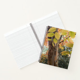 Herfst Japanse Stewartia Boom Bloemige Notitieboek