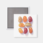 HERFST JELLY BEANS Square Magnet (Voorkant / Achterkant)