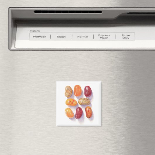 HERFST JELLY BEANS Square Magnet (Insitu (Vaatwasser))