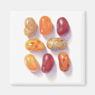 HERFST JELLY BEANS Square Magnet