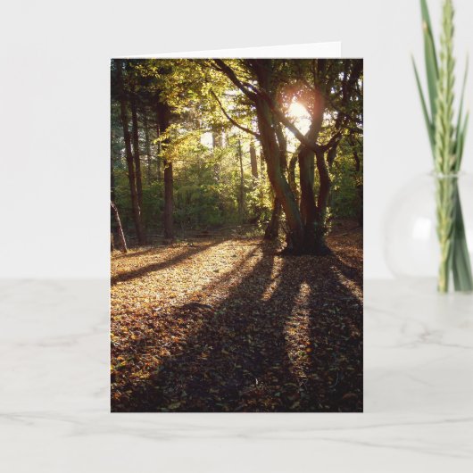 herfst | kaart (Voorkant)