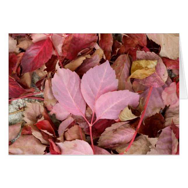 Herfst-kaart (Voorkant Horizontaal)