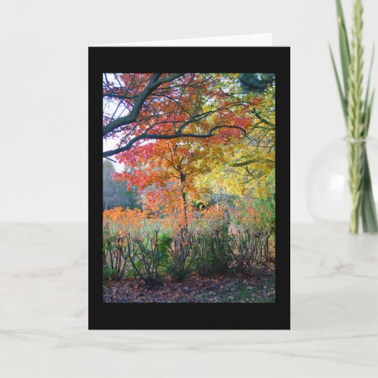 herfst kaart (Voorkant)