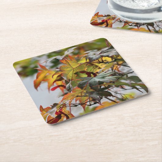 Herfst Kartonnen Onderzetters (Schuin)