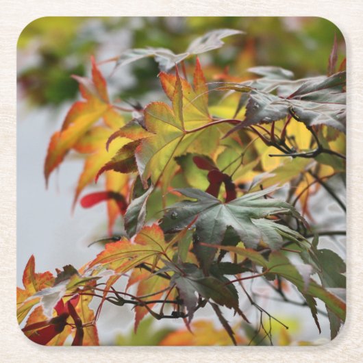 Herfst Kartonnen Onderzetters (Voorkant)