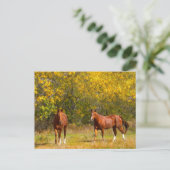 Herfst kastanjepaarden briefkaart (Staand voorkant)
