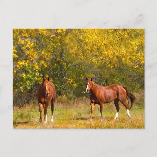 Herfst kastanjepaarden briefkaart (Voorkant)