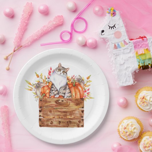 Herfst kat en pompoenen in doos papieren bordje (Feest)