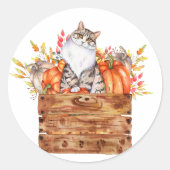 Herfst kat en pompoenen in doos ronde sticker (Voorkant)