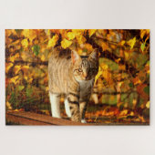 herfst kat puzzel legpuzzel (Horizontaal)