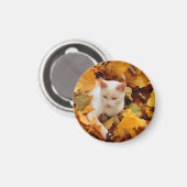 Herfst kattenmagneet magneet (Voorkant / Achterkant)