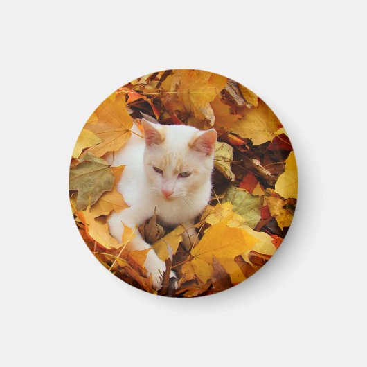 Herfst kattenmagneet magneet (Voorkant)