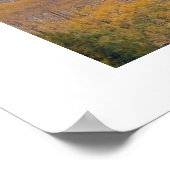 Herfst Kebler Pass 2001 Poster (Hoek)