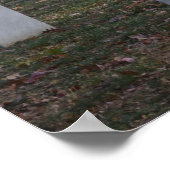 Herfst kerkhof van Arlington 2013 — Hoofdstenen Poster (Hoek)