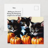 Herfst Kittens met pompoenen Feestdagenkaart (Voorkant / Achterkant)
