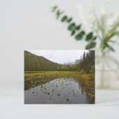 Herfst kleur bij Cub Lake Briefkaart (Staand voorkant)