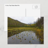 Herfst kleur bij Cub Lake Briefkaart (Voorkant / Achterkant)