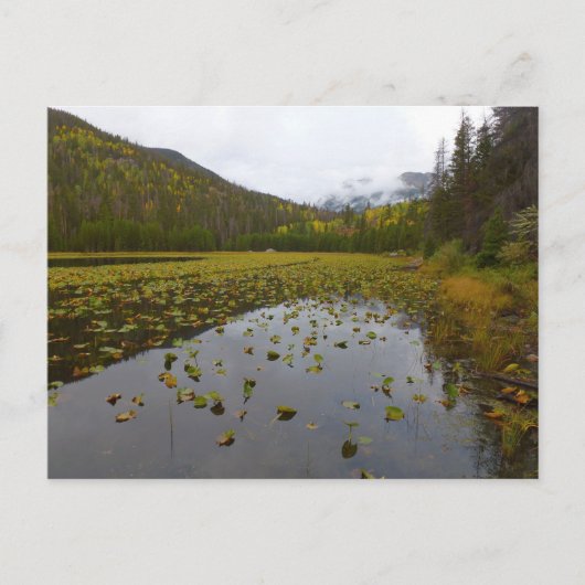 Herfst kleur bij Cub Lake Briefkaart (Voorkant)