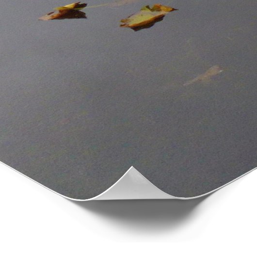 Herfst kleur bij Cub Lake Poster (Hoek)