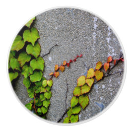 Herfst kleur bladeren keramische knop