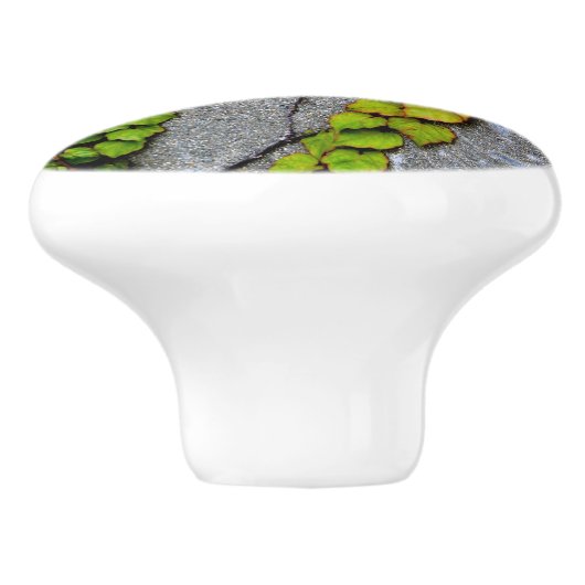 Herfst kleur bladeren keramische knop (Zijkant)