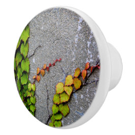 Herfst kleur bladeren keramische knop