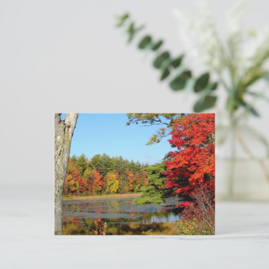 Herfst kleur in New England Briefkaart (Staand voorkant)